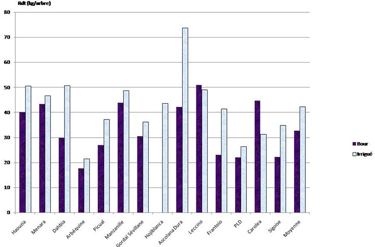 Figure 1 : Production moyenne des variétés dans les deux sites de culture