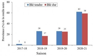Figure 1: Evolution de la prévalence (% de champs infesté) de la rouille noire au Maroc  de  2017à 2021