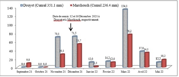 Figure 1 : Précipitations mensuelles cumulées (mm) de Septembre 2021 à Mai 2022 à Douyet et Marchouch