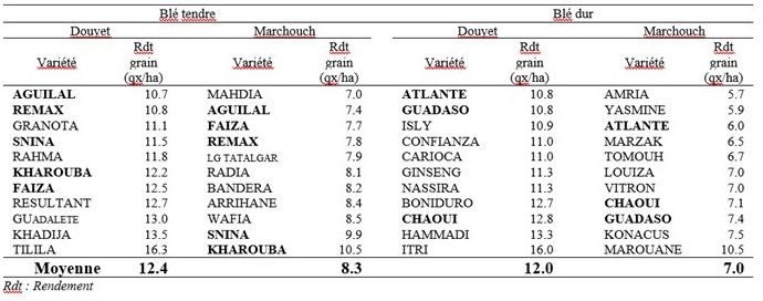 Tableau 1: Rendement grain (qx/ha) des onze meilleures variétés de blé tendre et des onze meilleures variétés de blé dur à Douyet et à Marchouch, sous le système semis direct durant la saison 2021-2022