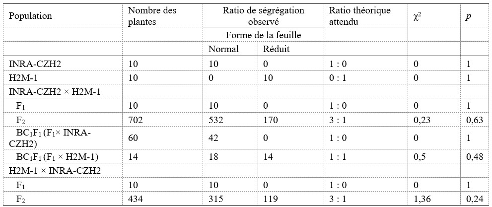 Tableau 2. Distribution de la forme des feuilles et le test du khi-deux pour les ratios de ségrégation dans les populations F1, F2 et BC1F1 résultant de croisements réciproques entre la lignée de type sauvage ‘INRA-CZH2’ et le mutant ‘H2M-2’.