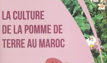 Nouvelle Edition INRA: "LA culture de la pomme de terre au Maroc" de Dr El Hassan Achbani