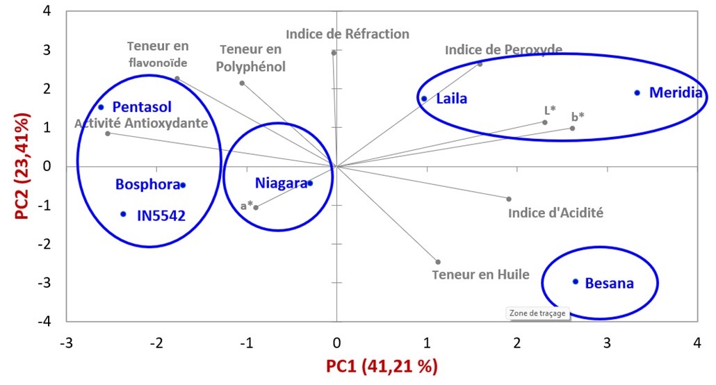 INFLUENCE DU GENOTYPE ET DES CONDITIONS CLIMATIQUES SUR LA QUALITE DE L ...